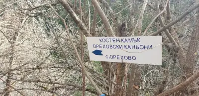 Костен камък