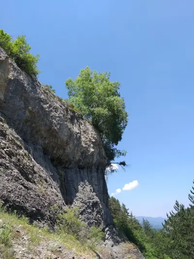 Костен камък