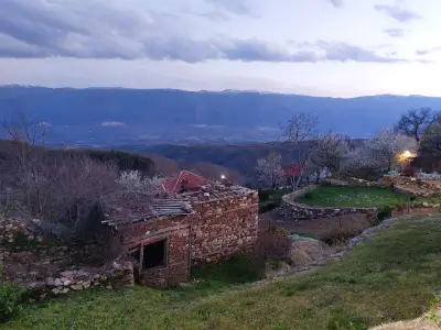 Долене