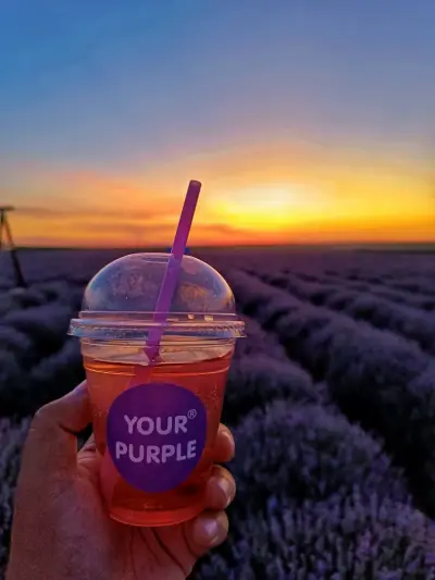 Лавандулово Поле Your Purple