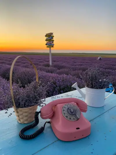 Лавандулово Поле Your Purple