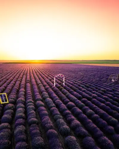 Лавандулово Поле Your Purple