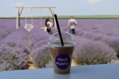 Лавандулово Поле Your Purple