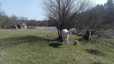 Скална арка при село Ъглен