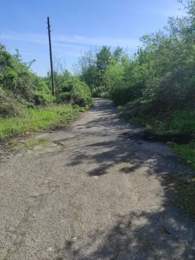 Лъженската пещера (пещера Мандрата)