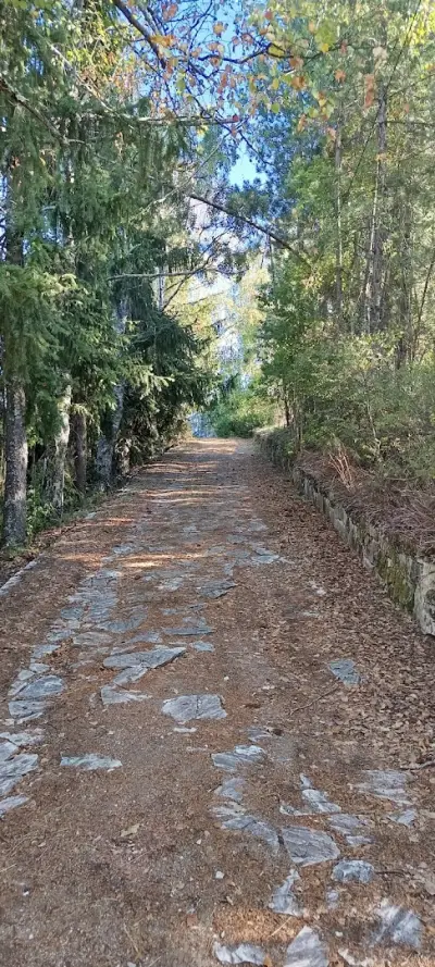 Полетински камък
