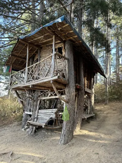 Дървената къща