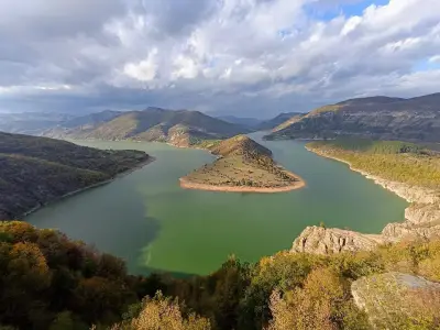 Каменни гъби