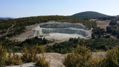 Каменни гъби