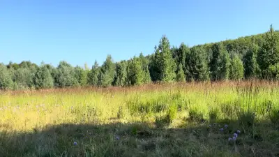 Планинари Машини - аптечка „Петрохан“