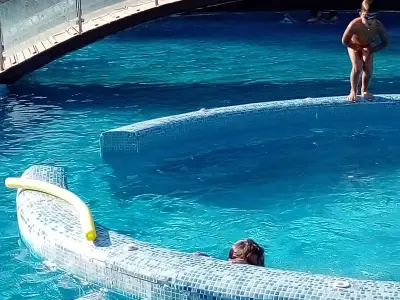 АЛБЕНА КРУМОВА