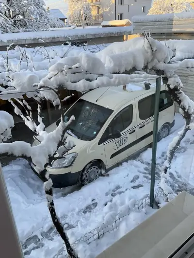 ТАКСИ АНГЕЛ САМОКОВ TAXI BOROVETS SAMOKOV