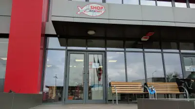 Алекс фиш