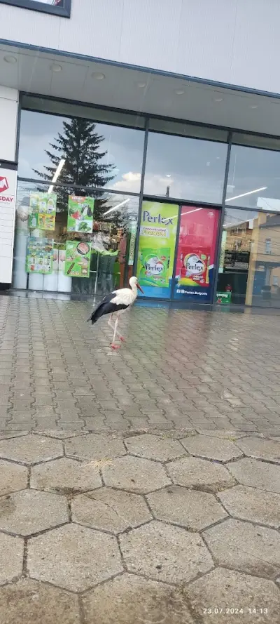 Бурлекс Враждебна