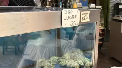 FishArtIS магазин за риба