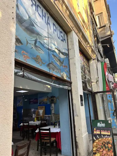 FishArtIS магазин за риба