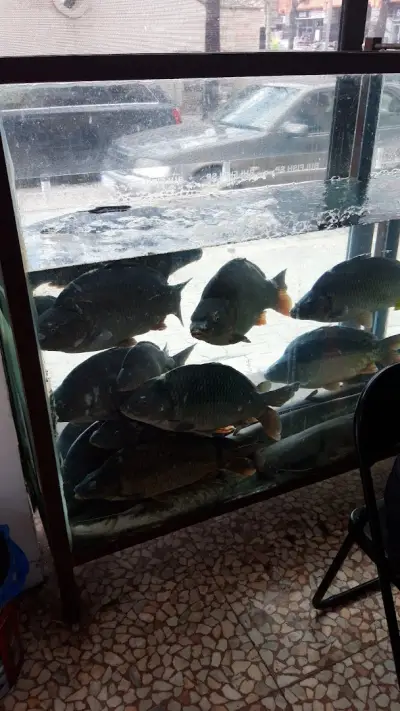 FishArtIS магазин за риба