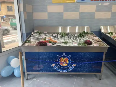 Морски дар – Ломско шосе