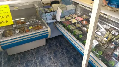 Морски дар – Ломско шосе