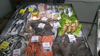 Морски дар – Ломско шосе