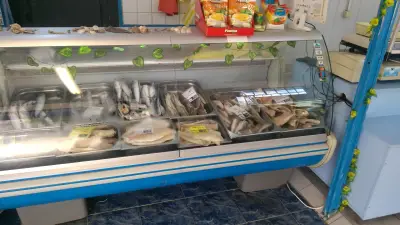 Морски дар – Ломско шосе