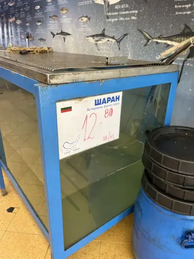Магазин за риба - 1002 Риби Люлин