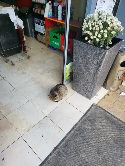 Любляна