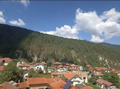 Кметство Бели Искър