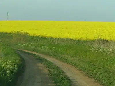 Супермаркет и кафене Жасмина