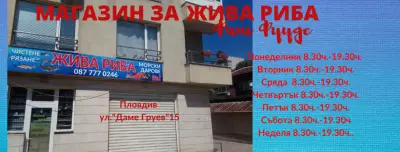 Фиш Фуудс