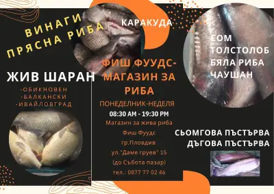 Фиш Фуудс
