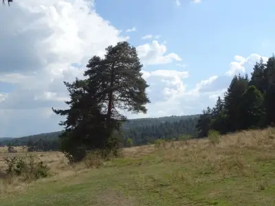 Плана Хайтс