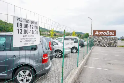Auto bul