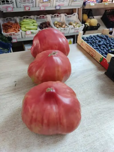 Мънки Фруктс ЕООД