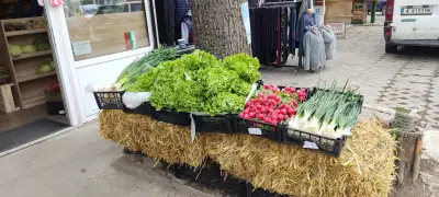 Мънки Фруктс ЕООД