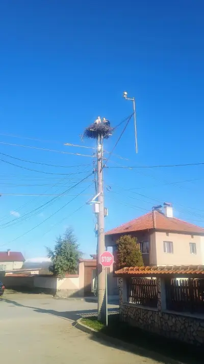 Кметство Драгушиново