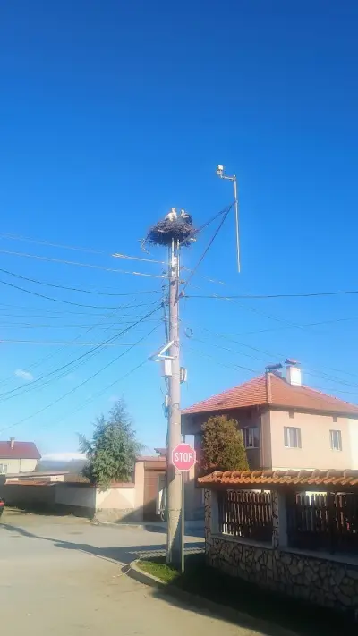 Кметство Драгушиново