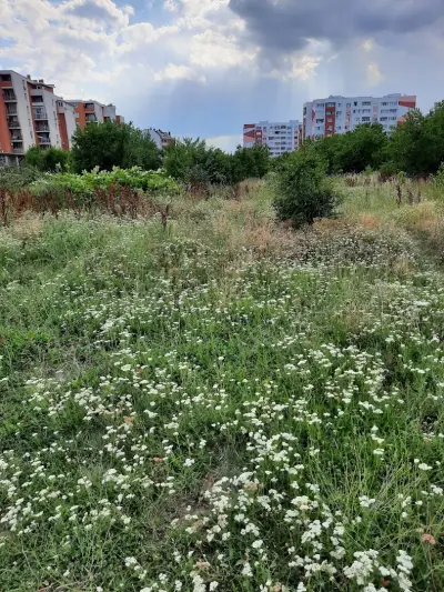 Локална градина с детска и спортна площадка в „Левски В”