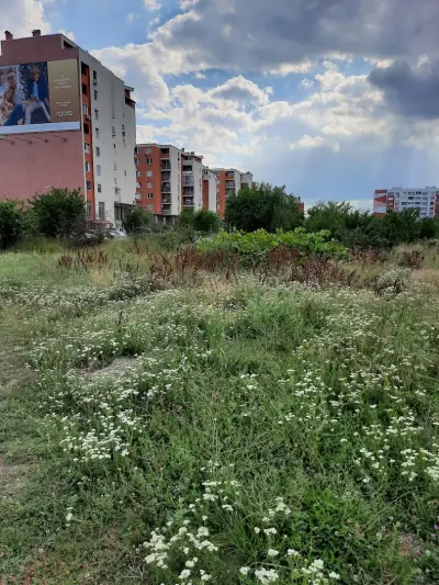 Локална градина с детска и спортна площадка в „Левски В”