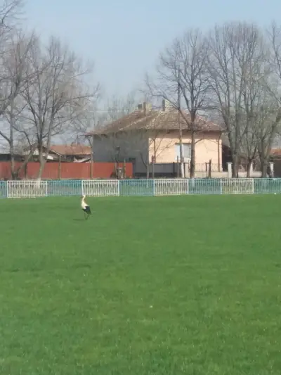 Стадион „Искра“