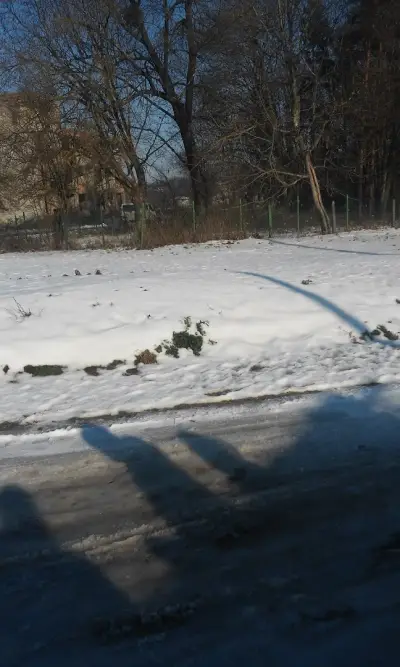 Стадион "Завет"