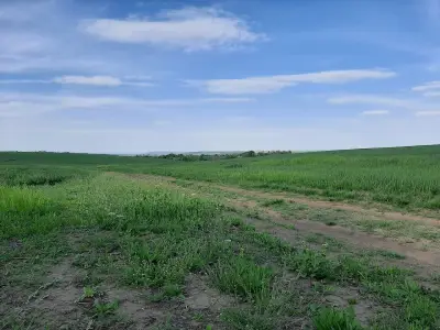 Стадион „Комарево“