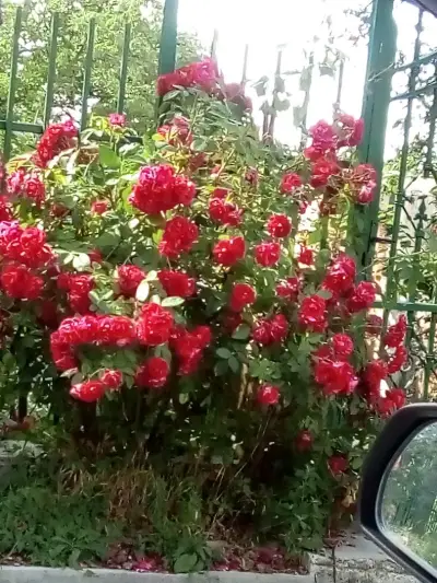 Стадион „Банкя“