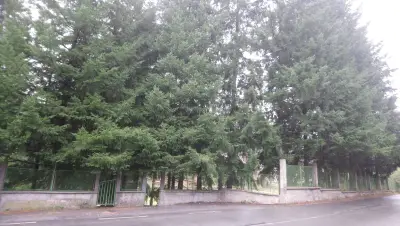 Стадион "Горубсо"
