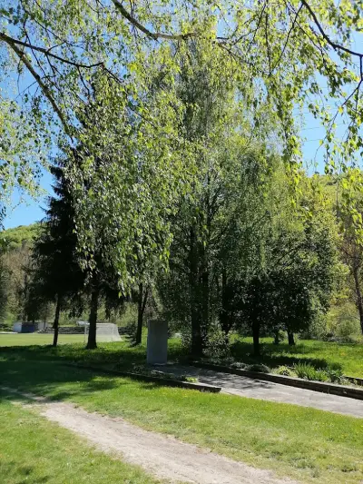 Арена Пасарел