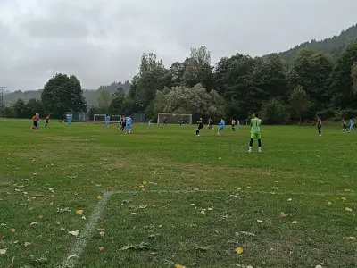 Арена Пасарел