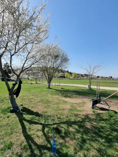Kokalyane stadium