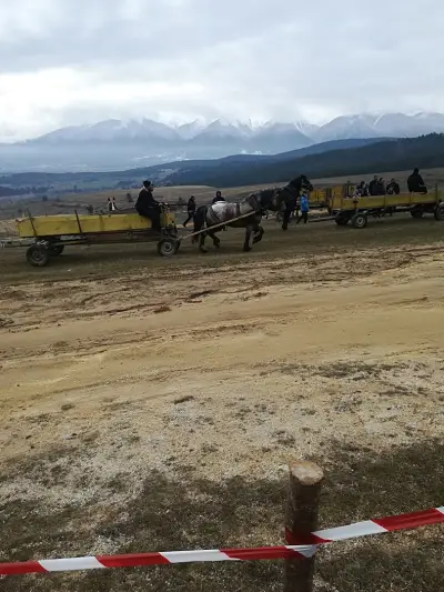 Стадион „Бачево“