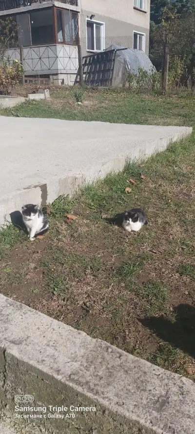 Стадион Церово