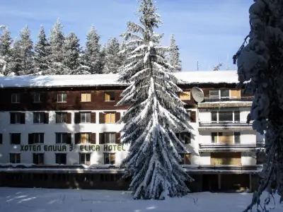 Luxury Chalet Elitsa Wellness & Spa